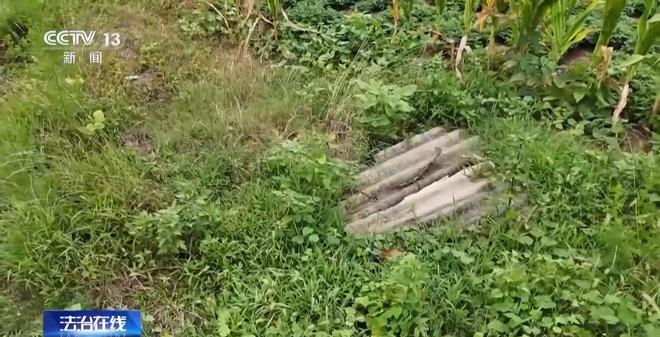 KAIYUN：看小说学盗墓挖走20余件国宝特大盗墓案细节曝光(图18)