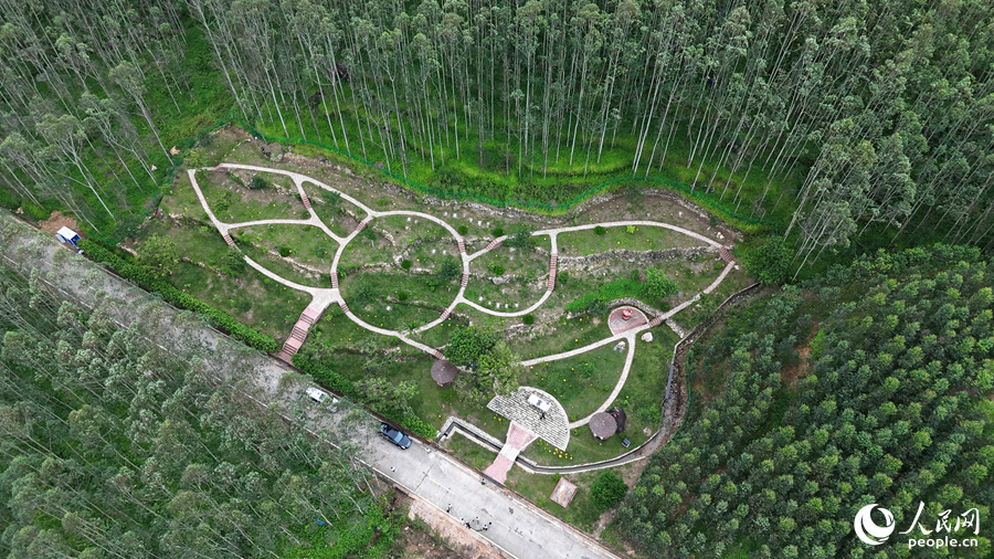 福建优化殡葬服务让“身后事”更惠民更安心(图2)