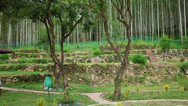 KAIYUN入口：福建：“生命公园”托起乡村“逝有所安”民生底图(图4)