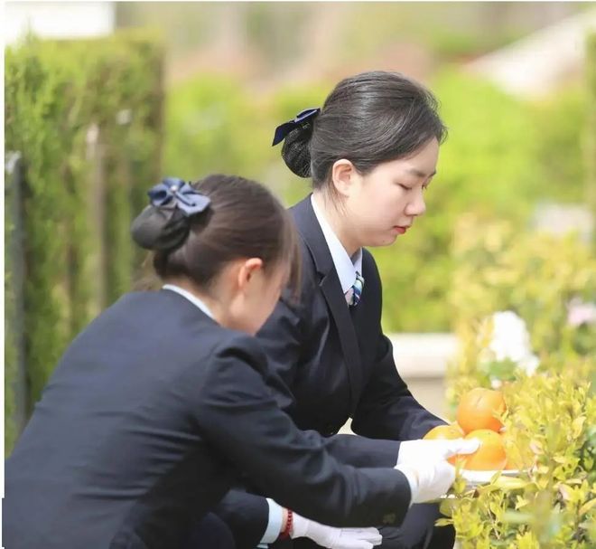 KAIYUN入口：中国最硬的刚需崩了：年轻人开始整顿殡葬业(图4)