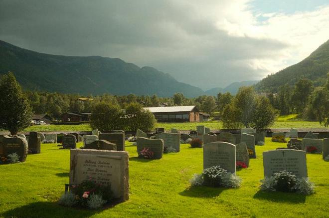 殡葬业巨头亏损万万没想到墓地也卖不动了(图2)