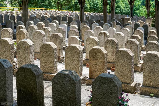 殡葬业巨头亏损万万没想到墓地也卖不动了(图1)