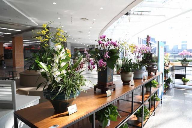 KAIYUN入口：除春节假期外全年对外开放！北京市政务服务中心打造政务大厅新范式(图2)