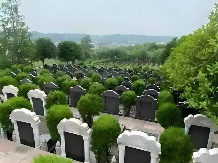 KAIYUN入口：成都【蟠龙公墓】墓地详情【蟠龙公墓】2026年价格参考_购墓咨询(图3)