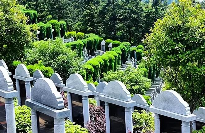 殡葬新规太解气！暴利时代终结天价墓地、骨灰盒要凉了(图6)