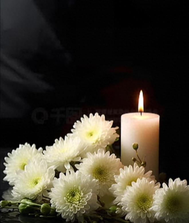 殡葬新规太解气！暴利时代终结天价墓地、骨灰盒要凉了(图10)