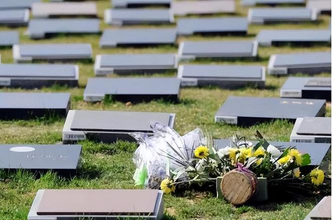 殡葬新规太解气！暴利时代终结天价墓地、骨灰盒要凉了(图15)