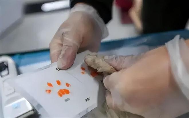 殡葬新规太解气！暴利时代终结天价墓地、骨灰盒要凉了(图17)