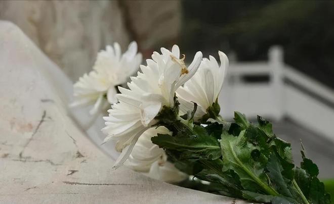 殡葬新规太解气！暴利时代终结天价墓地、骨灰盒要凉了(图21)