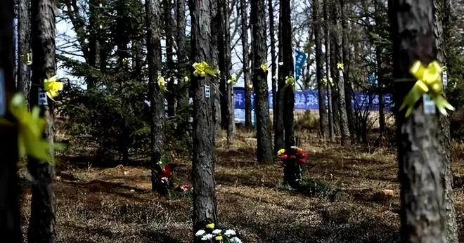 殡葬新规太解气！暴利时代终结天价墓地、骨灰盒要凉了(图18)