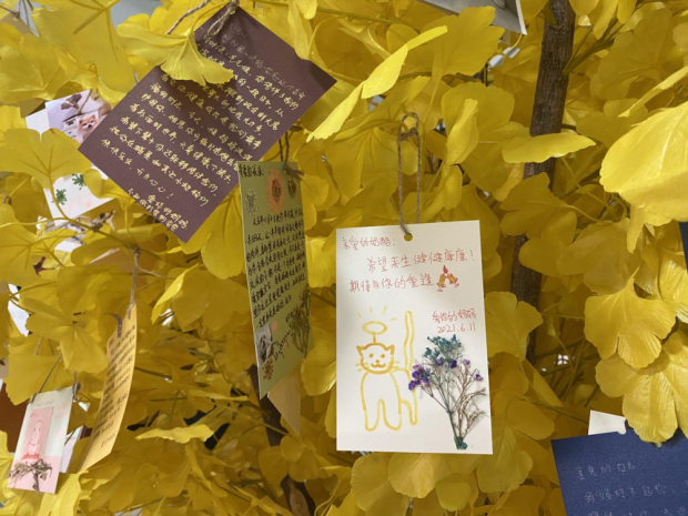 KAIYUN：“毛孩子”的身后事里藏着大生意(图3)