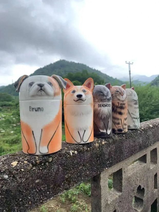 KAIYUN：“毛孩子”的身后事里藏着大生意(图8)