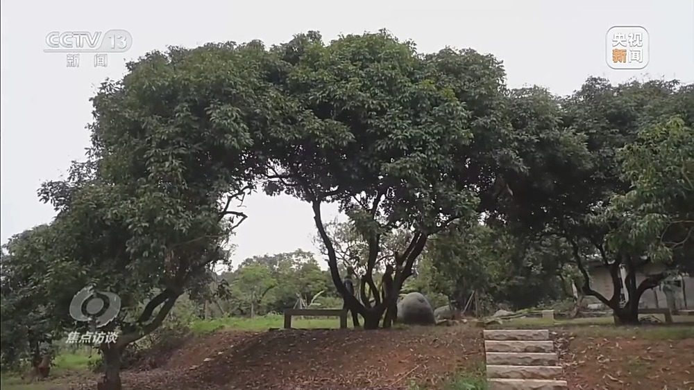 焦点访谈丨移风易俗减负又暖心殡葬新风扎根乡村沃土(图1)