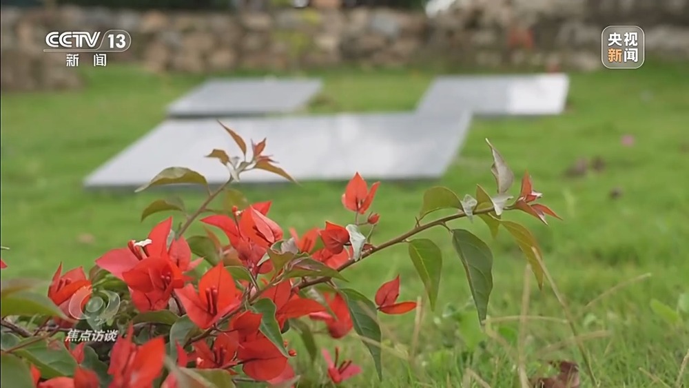 焦点访谈丨移风易俗减负又暖心殡葬新风扎根乡村沃土(图14)