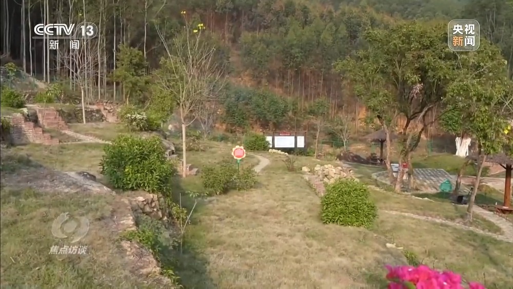 焦点访谈丨移风易俗减负又暖心殡葬新风扎根乡村沃土(图15)