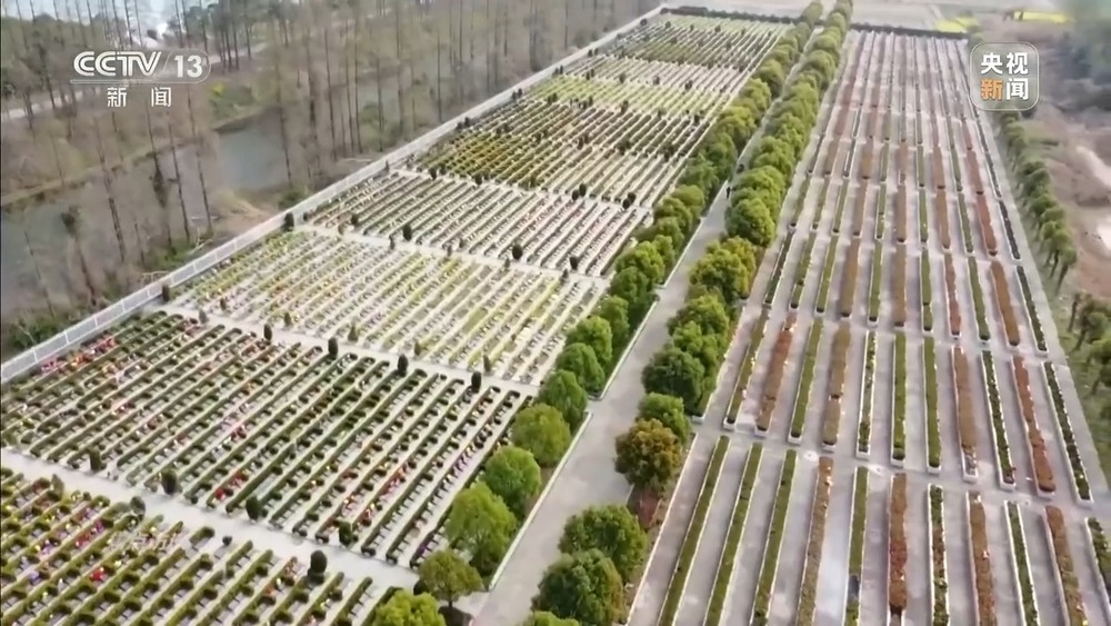 焦点访谈丨移风易俗减负又暖心殡葬新风扎根乡村沃土(图16)