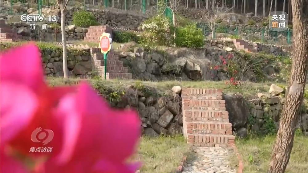 焦点访谈丨移风易俗减负又暖心殡葬新风扎根乡村沃土(图19)