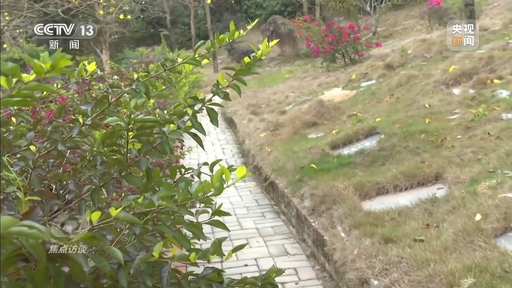 焦点访谈丨移风易俗减负又暖心殡葬新风扎根乡村沃土(图21)