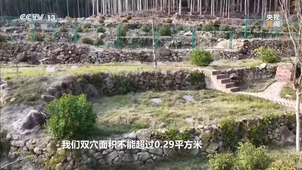 焦点访谈丨移风易俗减负又暖心殡葬新风扎根乡村沃土(图20)