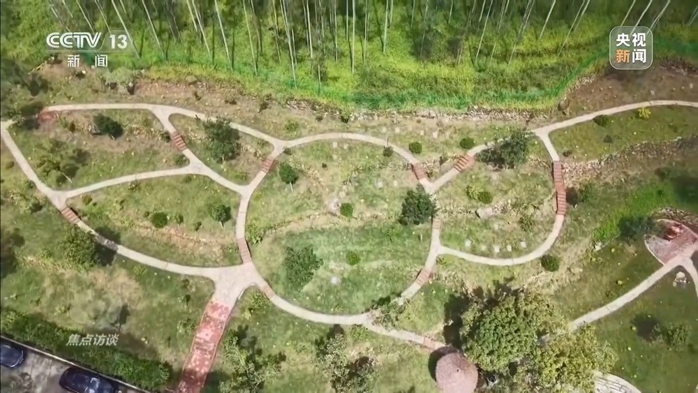 焦点访谈丨移风易俗减负又暖心殡葬新风扎根乡村沃土(图22)