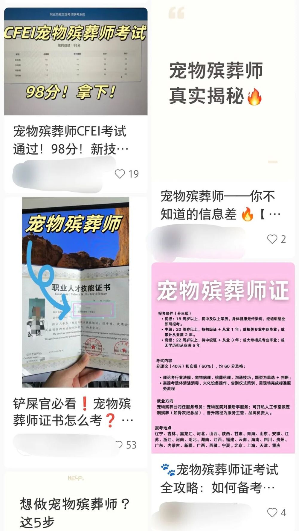 KAIYUN入口：宠物殡葬乱象调查：3000元难买体面告别无证经营与虚假火化何时休？(图4)