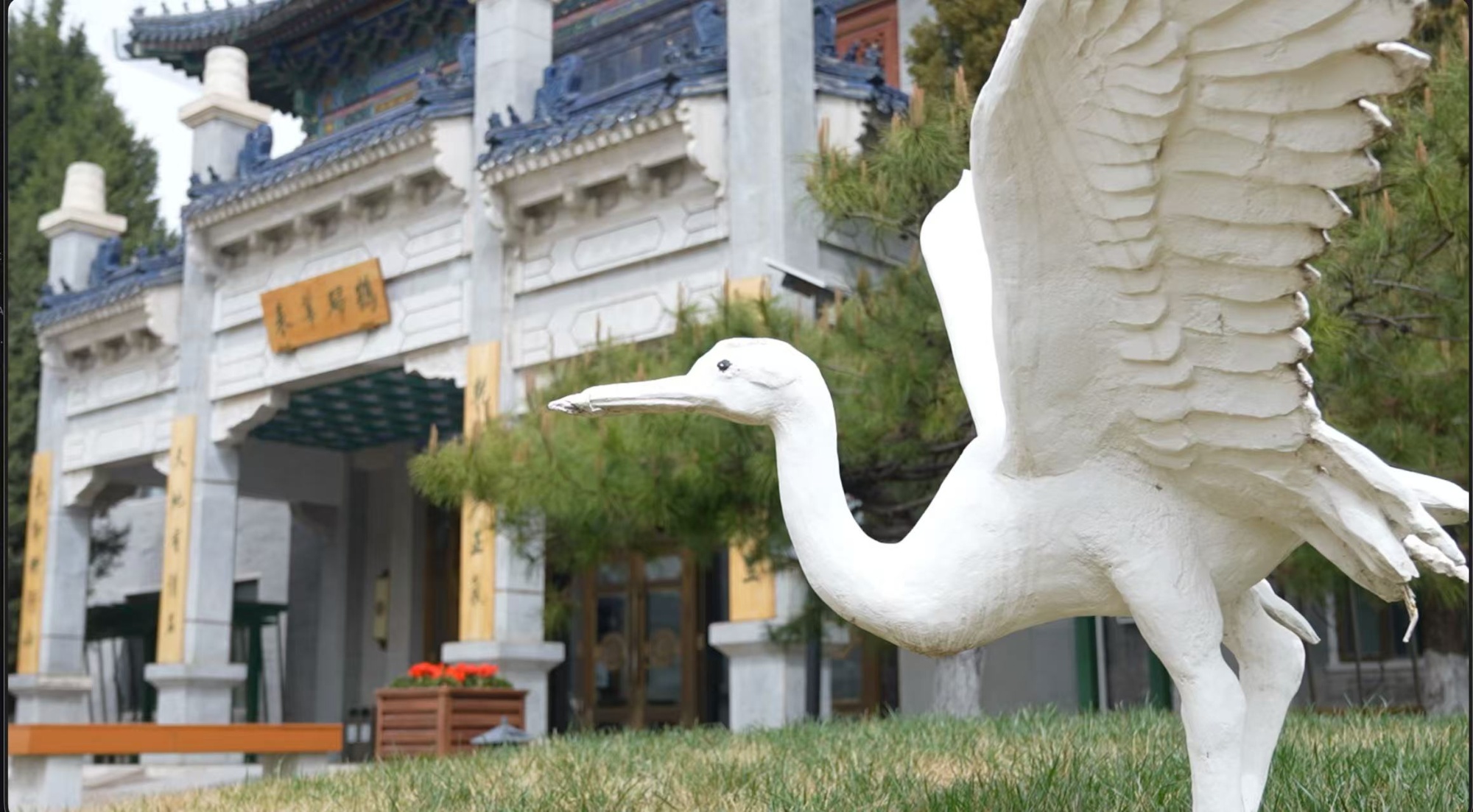 KAIYUN：殡社联动：一场不留遗憾的告别(图3)