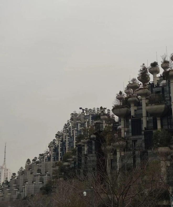 殡葬新规一出“骨灰房”现象会消失吗？(图2)