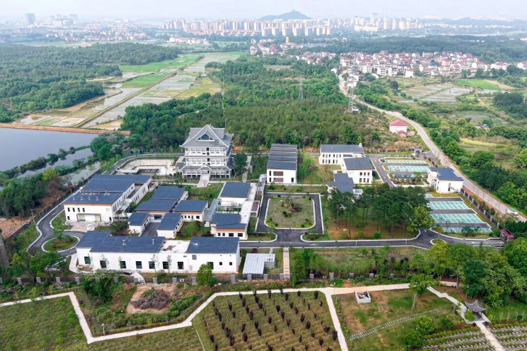 “基本殡葬服务零付费”鹰潭余江区推行惠民殡葬政策(图6)