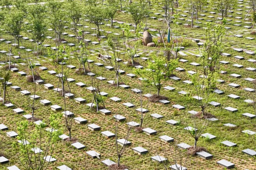 “基本殡葬服务零付费”鹰潭余江区推行惠民殡葬政策(图8)