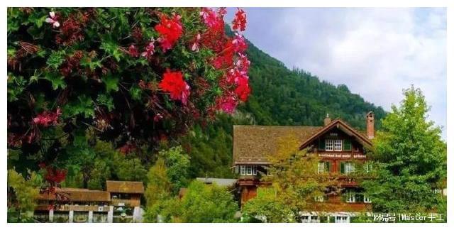 KAIYUN：湖北随州″殡葬改革事件轮廓和六大疑问(图4)