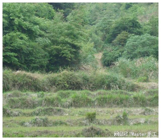 KAIYUN：湖北随州″殡葬改革事件轮廓和六大疑问(图2)