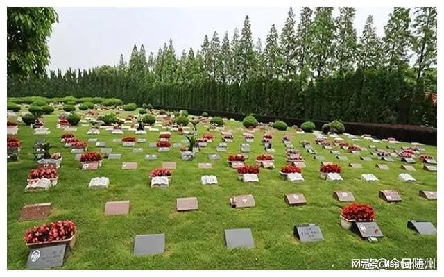 KAIYUN：湖北随州″殡葬改革事件轮廓和六大疑问(图1)