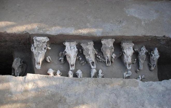 KAIYUN：访谈｜刘连香：考古视角下的北魏丧葬与民族交融(图3)