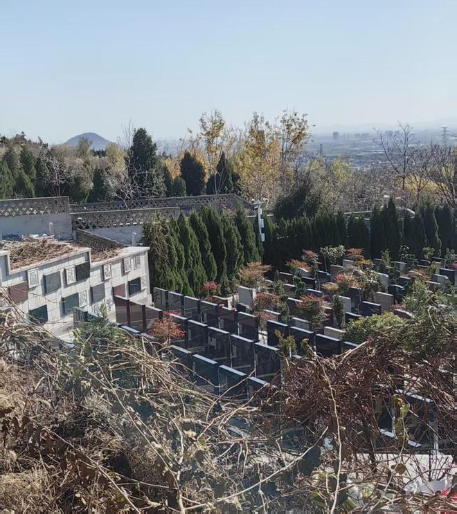 暗访泰山长安陵园：皇家风水烈士陵园当噱头卖活人墓被罚700万(图5)