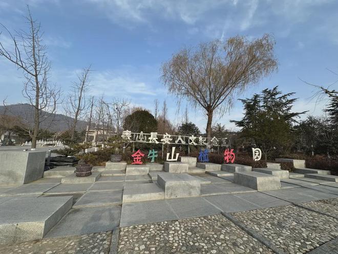 暗访泰山长安陵园：皇家风水烈士陵园当噱头卖活人墓被罚700万(图3)