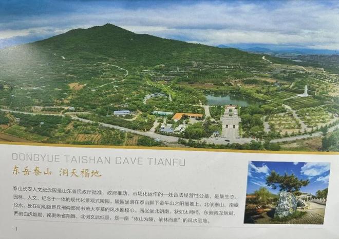 暗访泰山长安陵园：皇家风水烈士陵园当噱头卖活人墓被罚700万(图9)