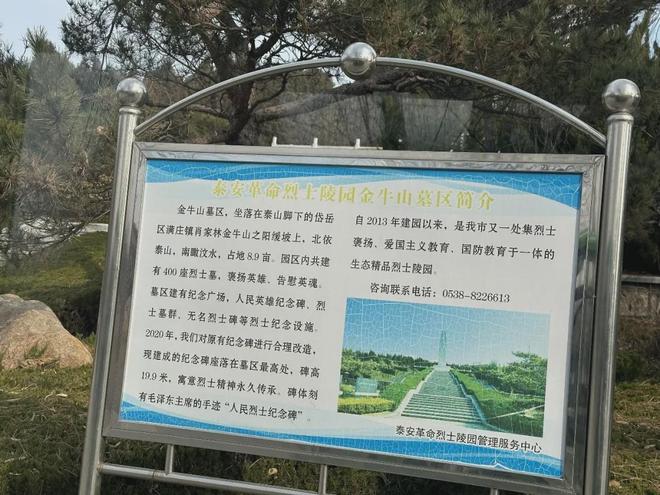 暗访泰山长安陵园：皇家风水烈士陵园当噱头卖活人墓被罚700万(图8)