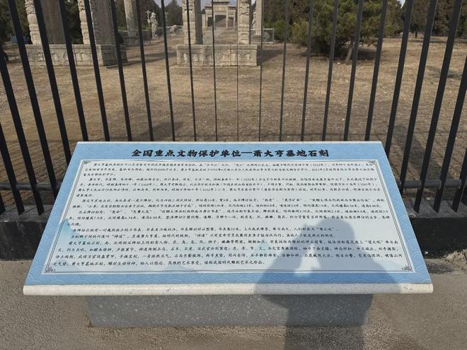 暗访泰山长安陵园：皇家风水烈士陵园当噱头卖活人墓被罚700万(图15)